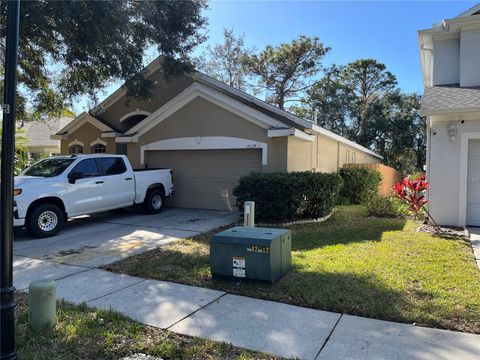 18124 ANTIETAM COURT TAMPA FL 33647