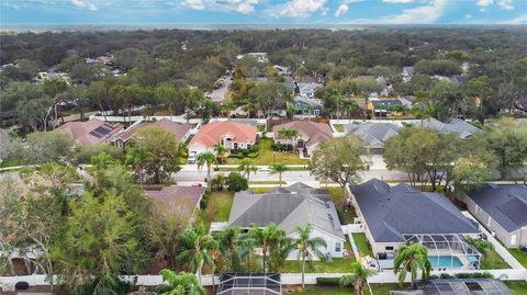 A home in VALRICO