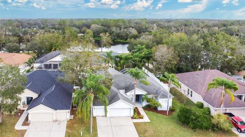 A home in VALRICO