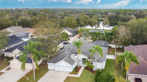 A home in VALRICO