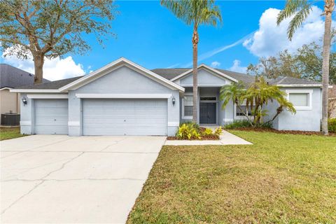 A home in VALRICO