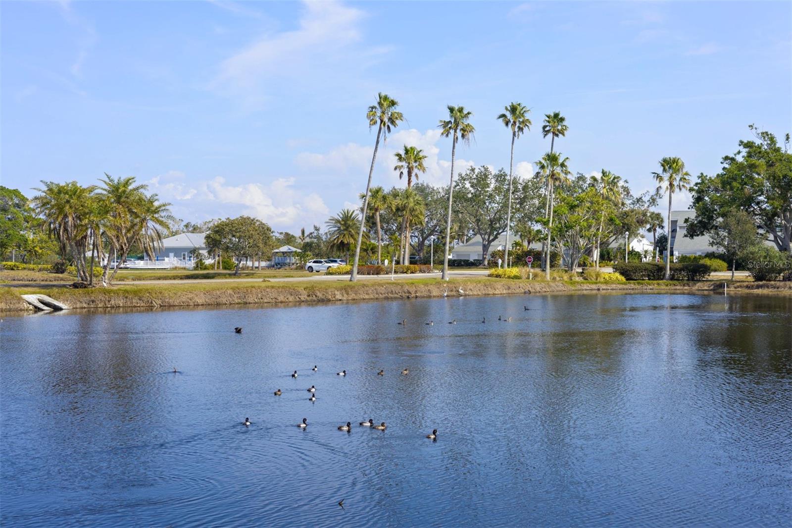 SHORELINE TERRACES III AT PERICO BAY 1&2 - Residential