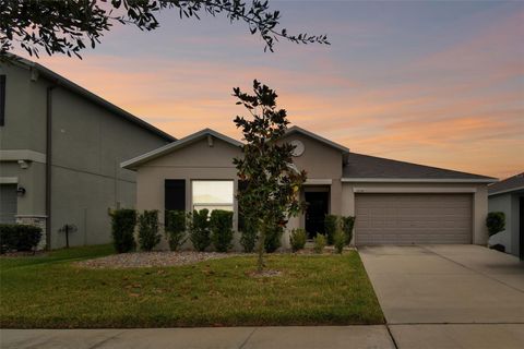 A home in WIMAUMA