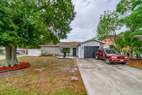 A home in RIVERVIEW