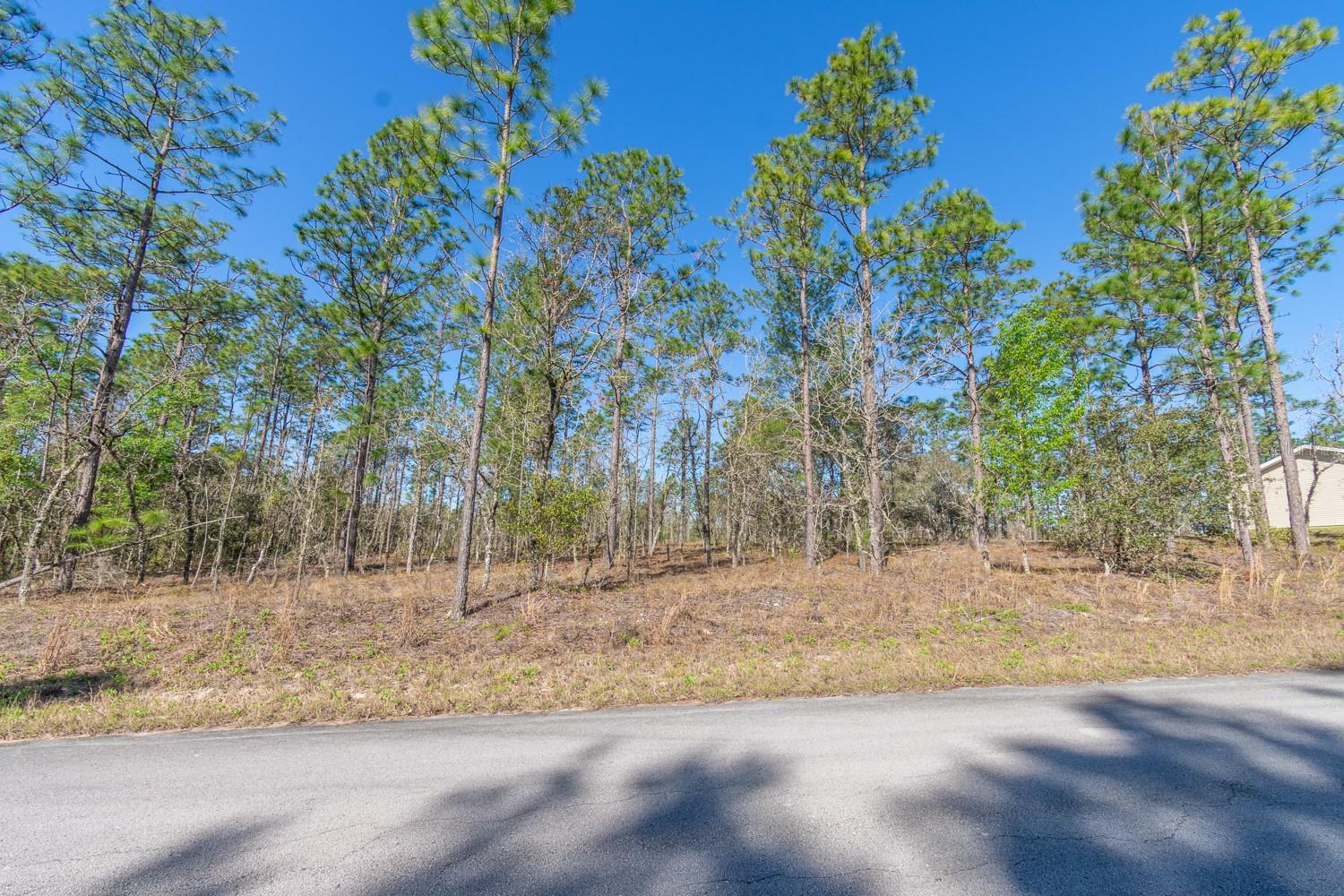 RAINBOW LAKES ESTATE - Land