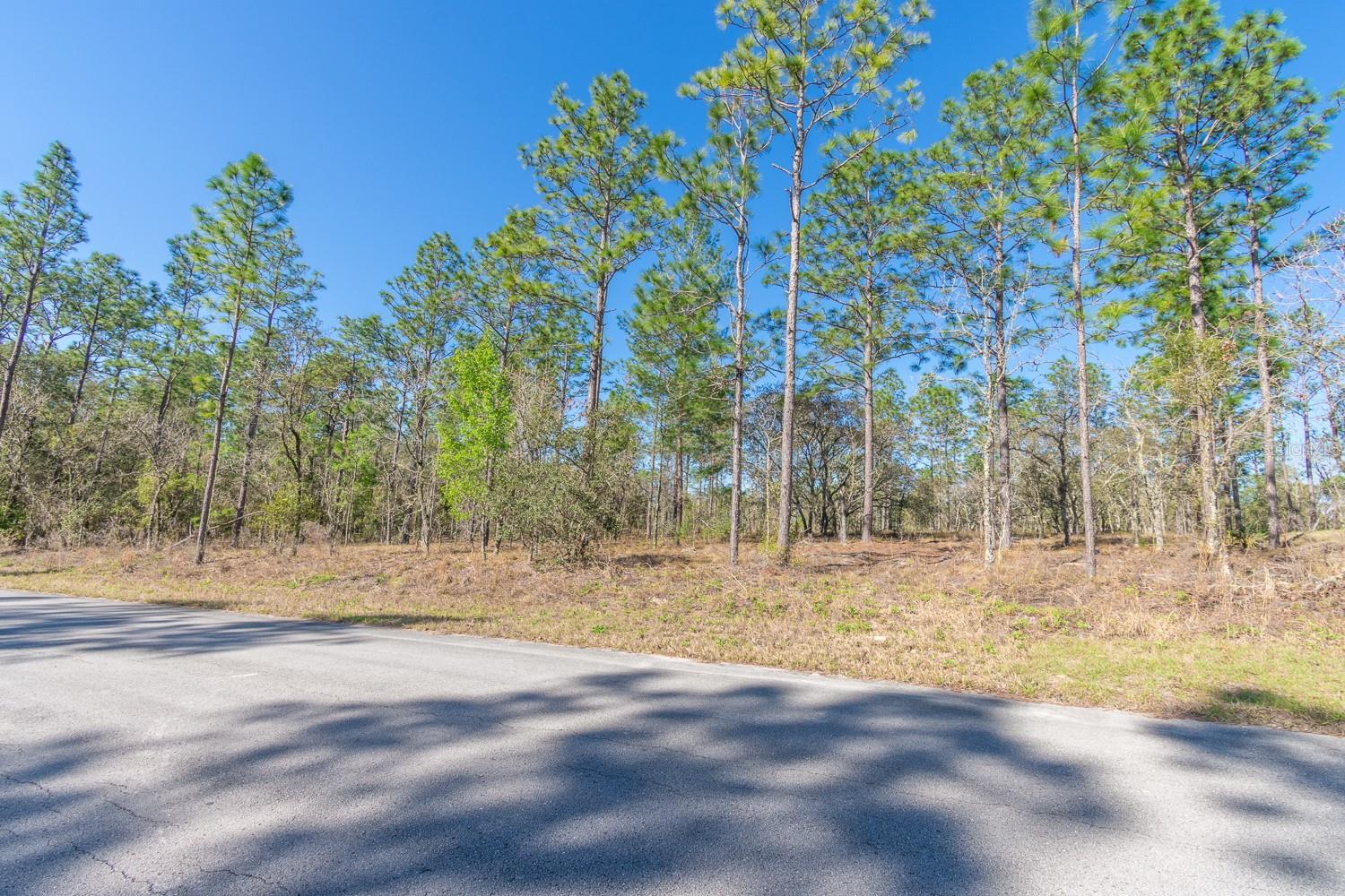 RAINBOW LAKES ESTATE - Land