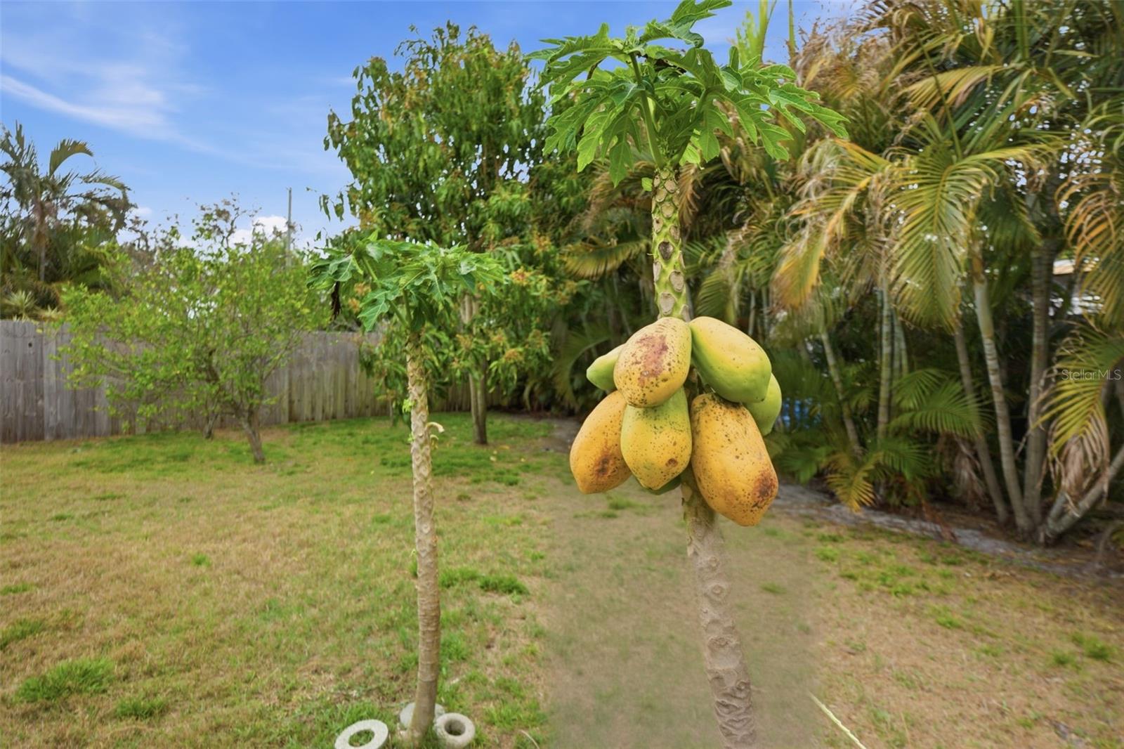 GREENBRIAR - Residential