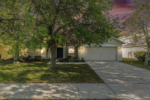 19033 TILOBE LOOP LAND O LAKES FL 34638