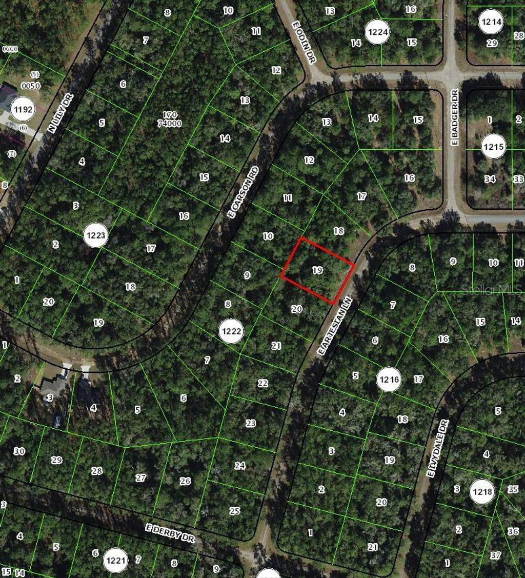 Photo of 8516 N Escobar Road, Dunnellon, FL 34434 (MLS # TB8488545)