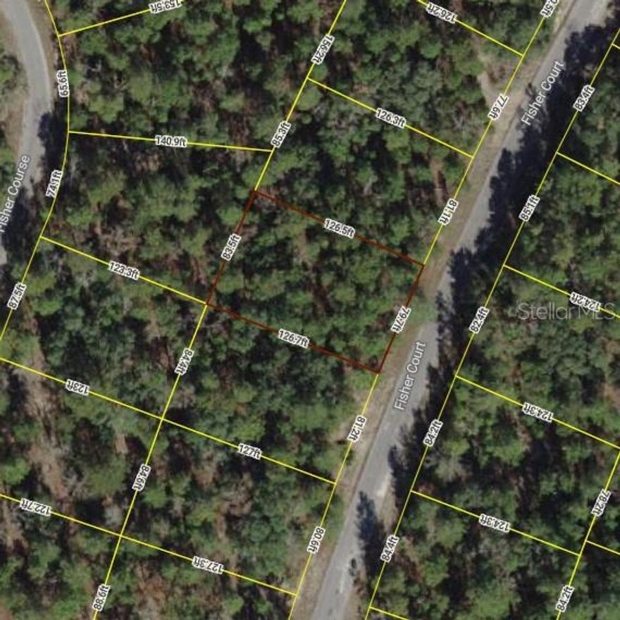 .2371 Acre Lot in TWIN LAKES RANCHETTES in Ocklawaha (Silver Springs Shores).  Undeveloped land.