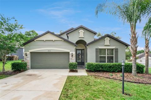Photo of 24414 Woodhill Court, Sorrento, FL 32776 (MLS # O6396263)
