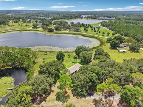 Tiny photo for 40610 Babb Road, Umatilla, FL 32784 (MLS # O6288539)