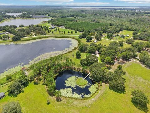 Photo of 40610 Babb Road, Umatilla, FL 32784 (MLS # O6288539)