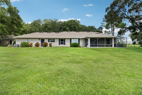 Photo of 40610 Babb Road, Umatilla, FL 32784 (MLS # O6288539)