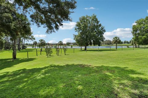 Tiny photo for 40610 Babb Road, Umatilla, FL 32784 (MLS # O6288539)