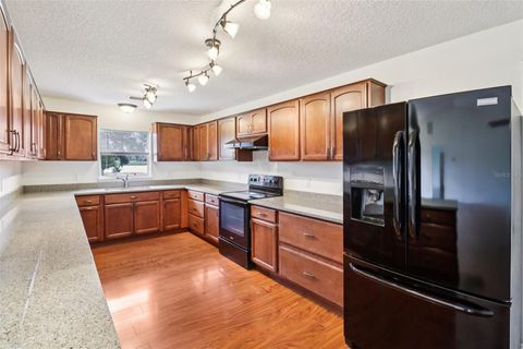 Tiny photo for 40610 Babb Road, Umatilla, FL 32784 (MLS # O6288539)