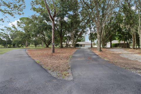 Tiny photo for 40610 Babb Road, Umatilla, FL 32784 (MLS # O6288539)