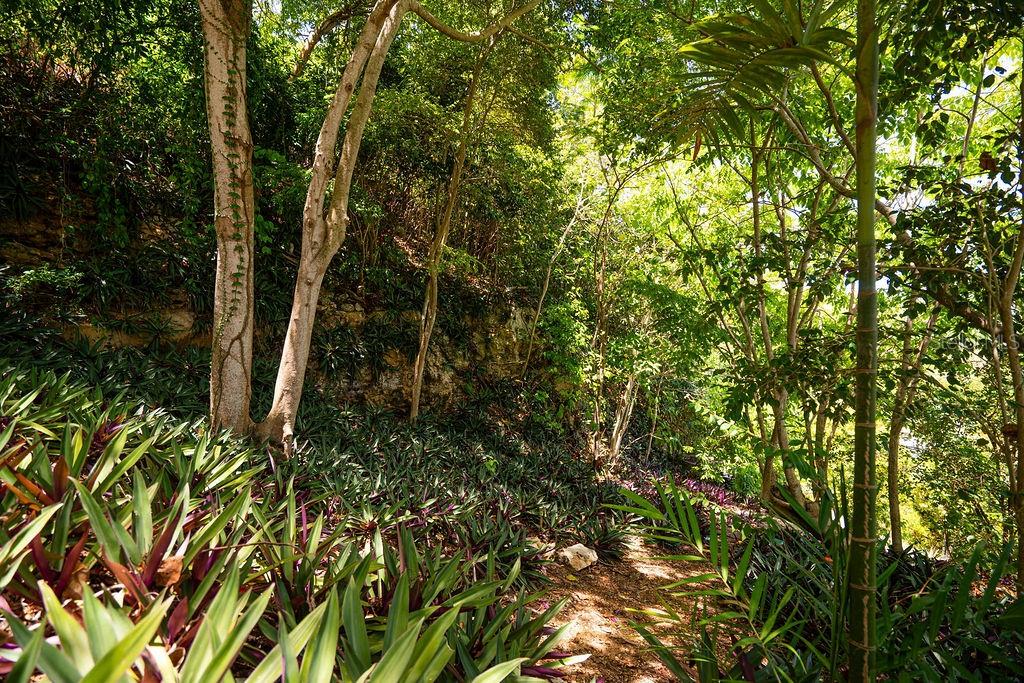 URB. CORCHADO - Residential