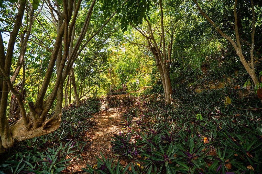 URB. CORCHADO - Residential