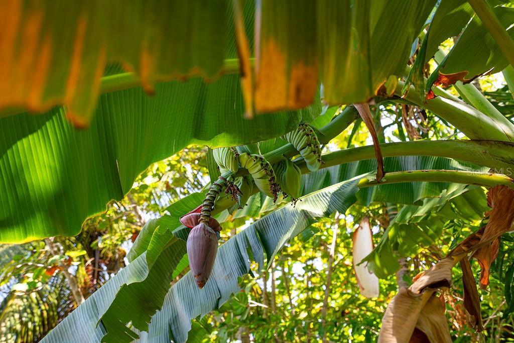 URB. CORCHADO - Residential