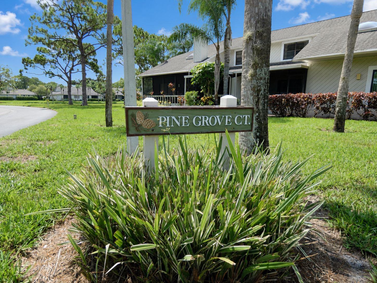 7917 PINEGROVE COURT 1