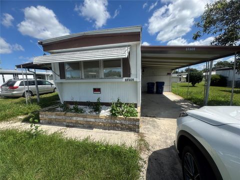 Photo of 37309 8th Avenue #161, Zephyrhills, FL 33542 (MLS # TB8525974)