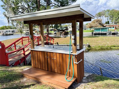 Tiny photo for 11504 Hickory Lane, Tavares, FL 32778 (MLS # O6393253)