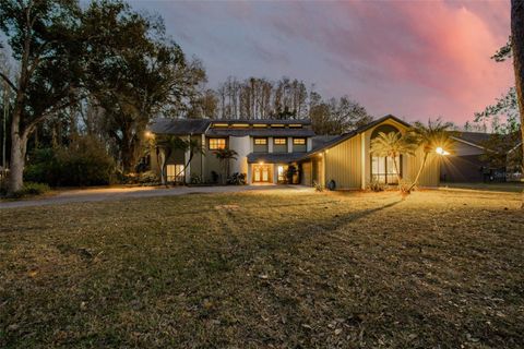Photo of 3812 Little Road, Lutz, FL 33548 (MLS # TB8478341)