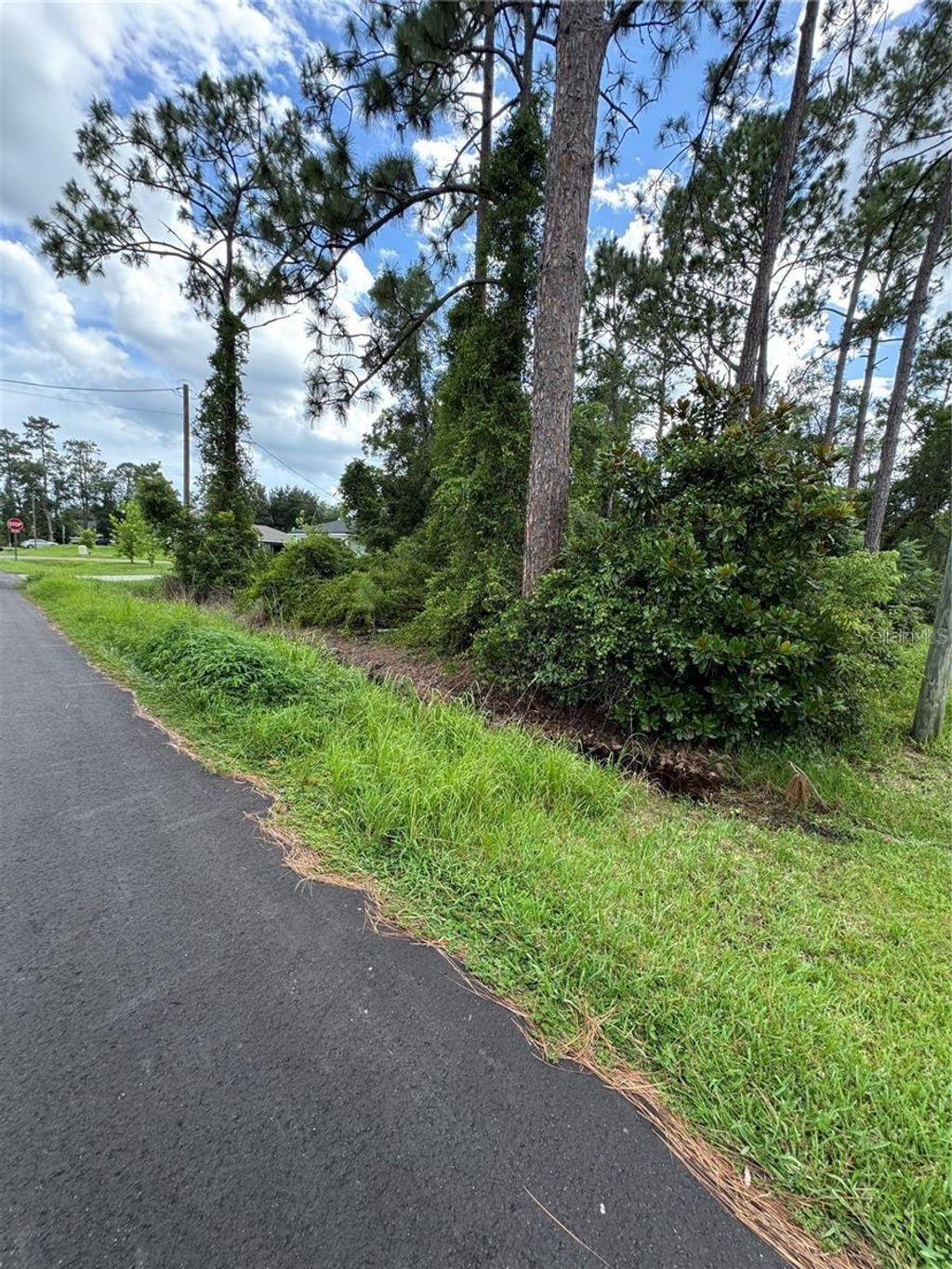 Photo of 2026 7th Avenue, Deland, FL 32724 (MLS # O6386708)