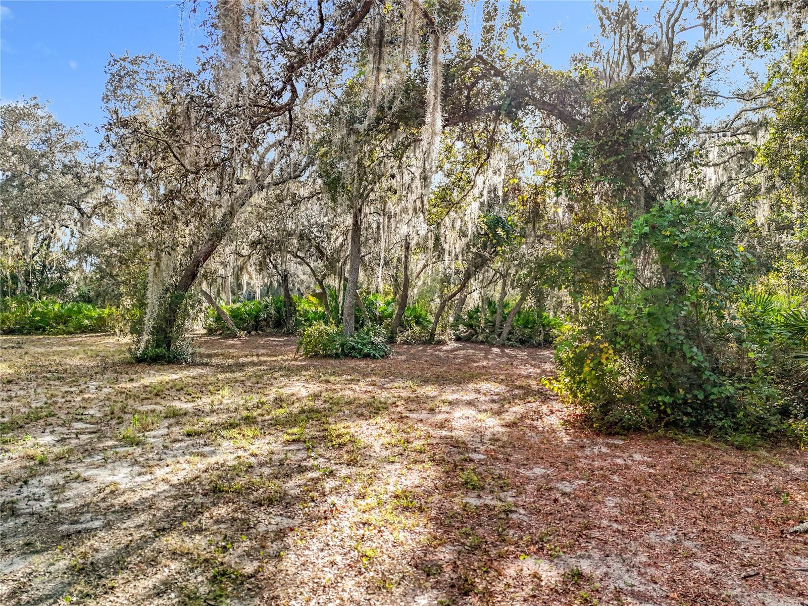 CLEARWATER RESERVE PH 2 - Land