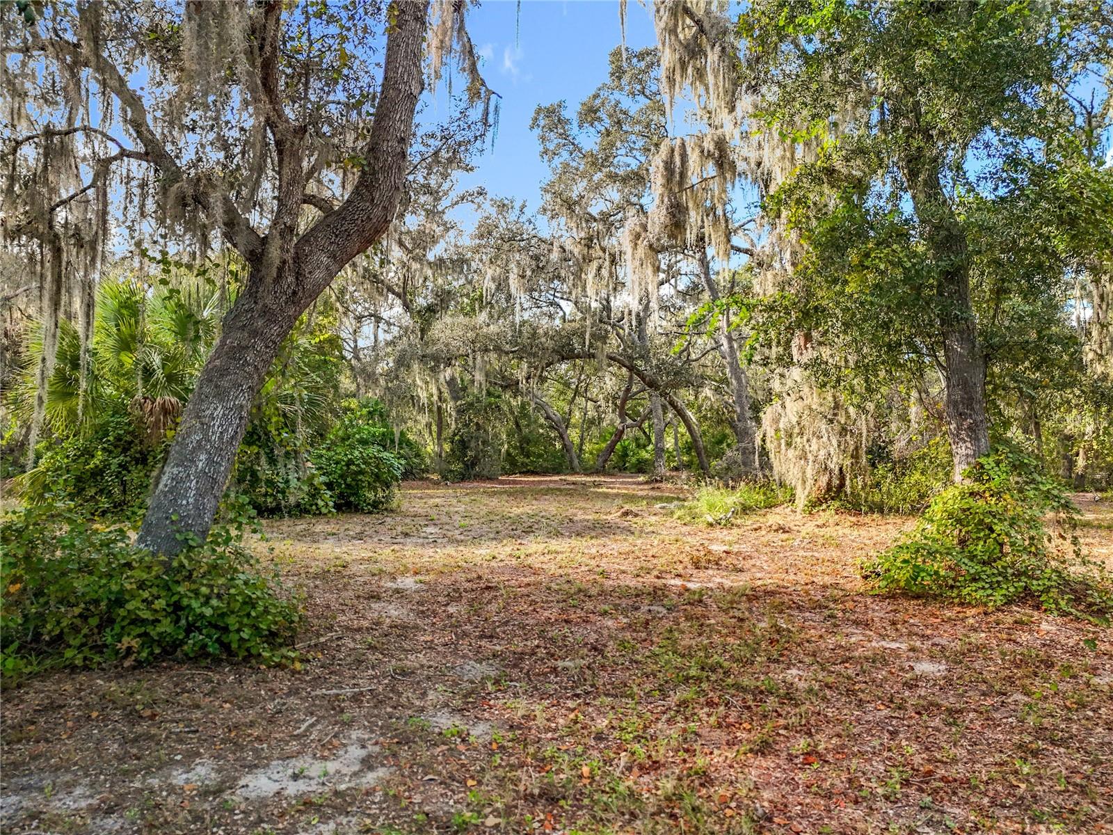 CLEARWATER RESERVE PH 2 - Land