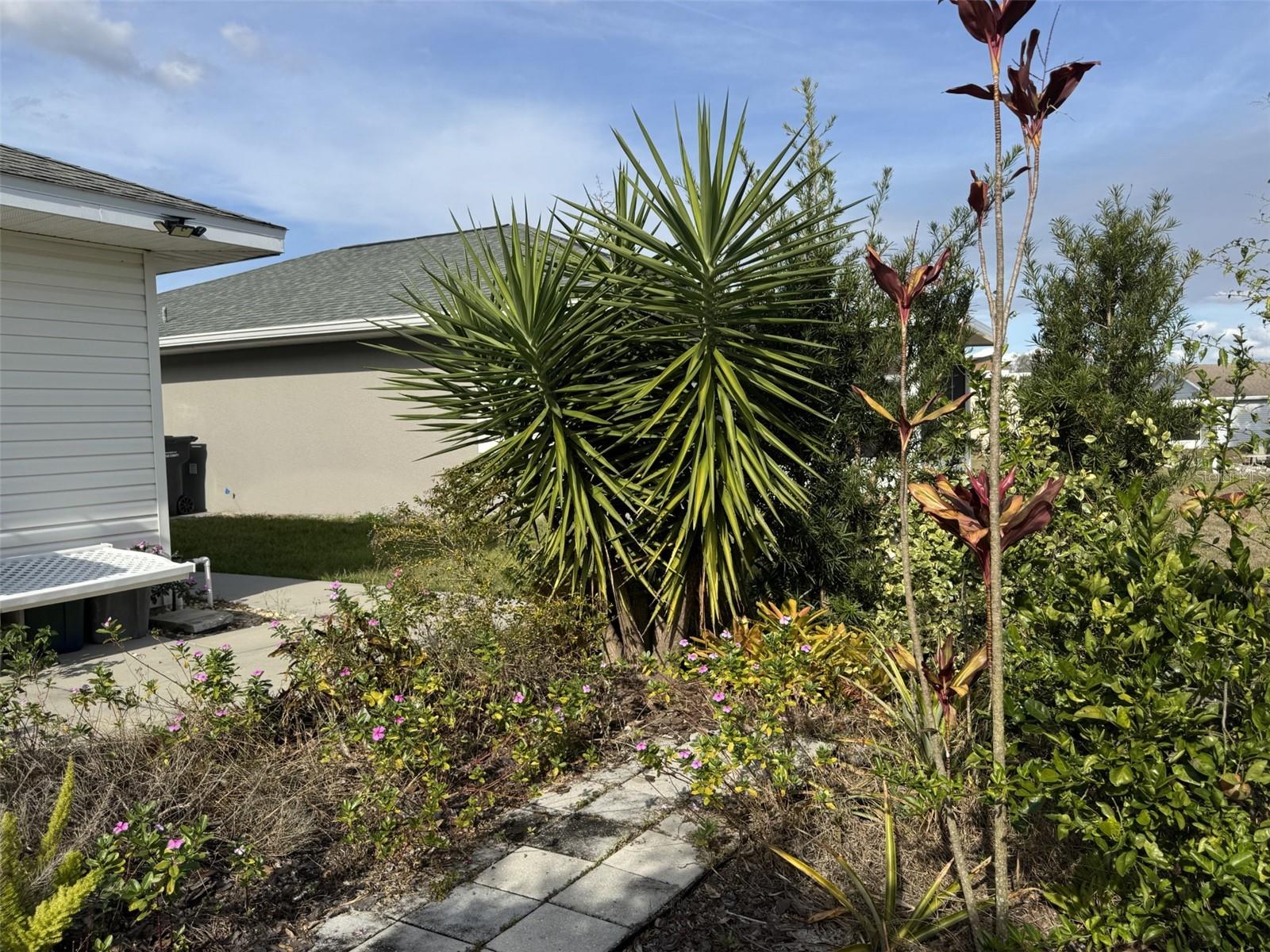 NATURES EDGE RESORT PHASE ONE - Residential