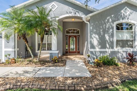 Photo of 25001 Bandana Court, Land O Lakes, FL 34639 (MLS # TB8424212)