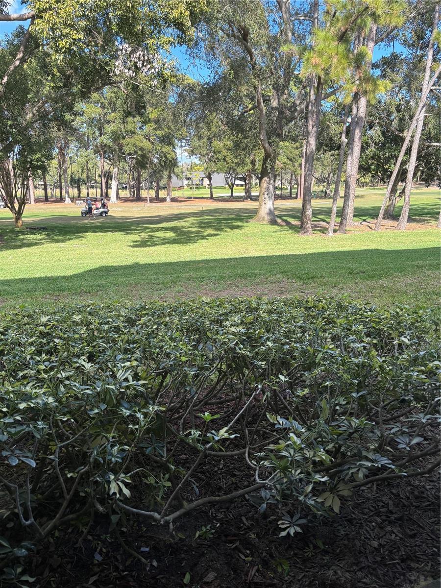 INNISBROOK - Residential