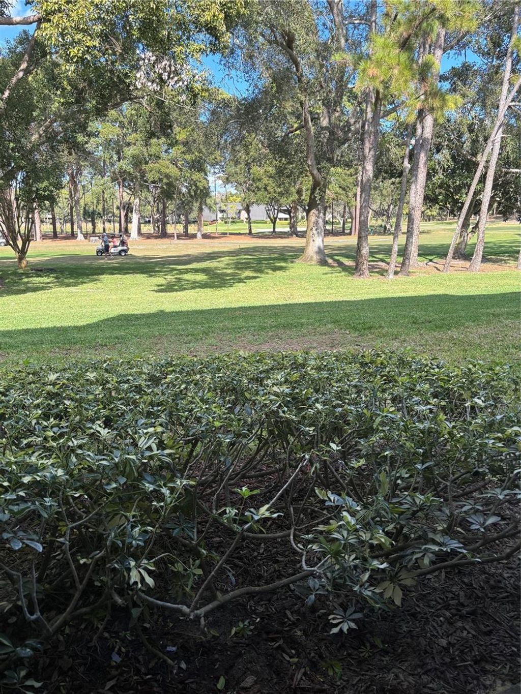 Photo of 36750 Us Highway 19 N #8-107, Palm Harbor, FL 34684 (MLS # TB8462528)