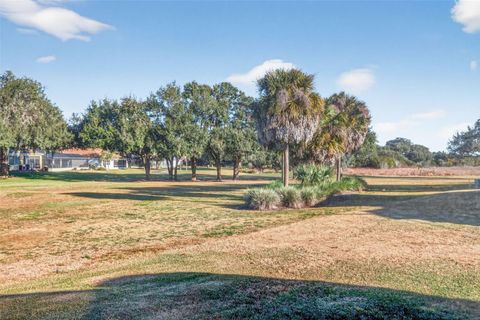 Tiny photo for 1473 Straton Way, The Villages, FL 32162 (MLS # G5106285)