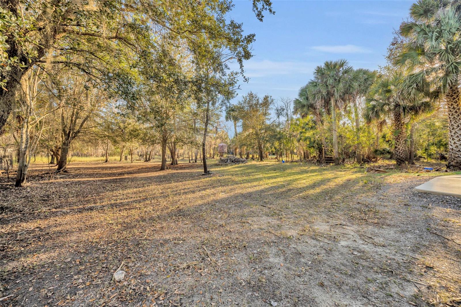 OSCEOLA BLUFF SOUTH 5 ACRE DEV 86 PARCELS - Land