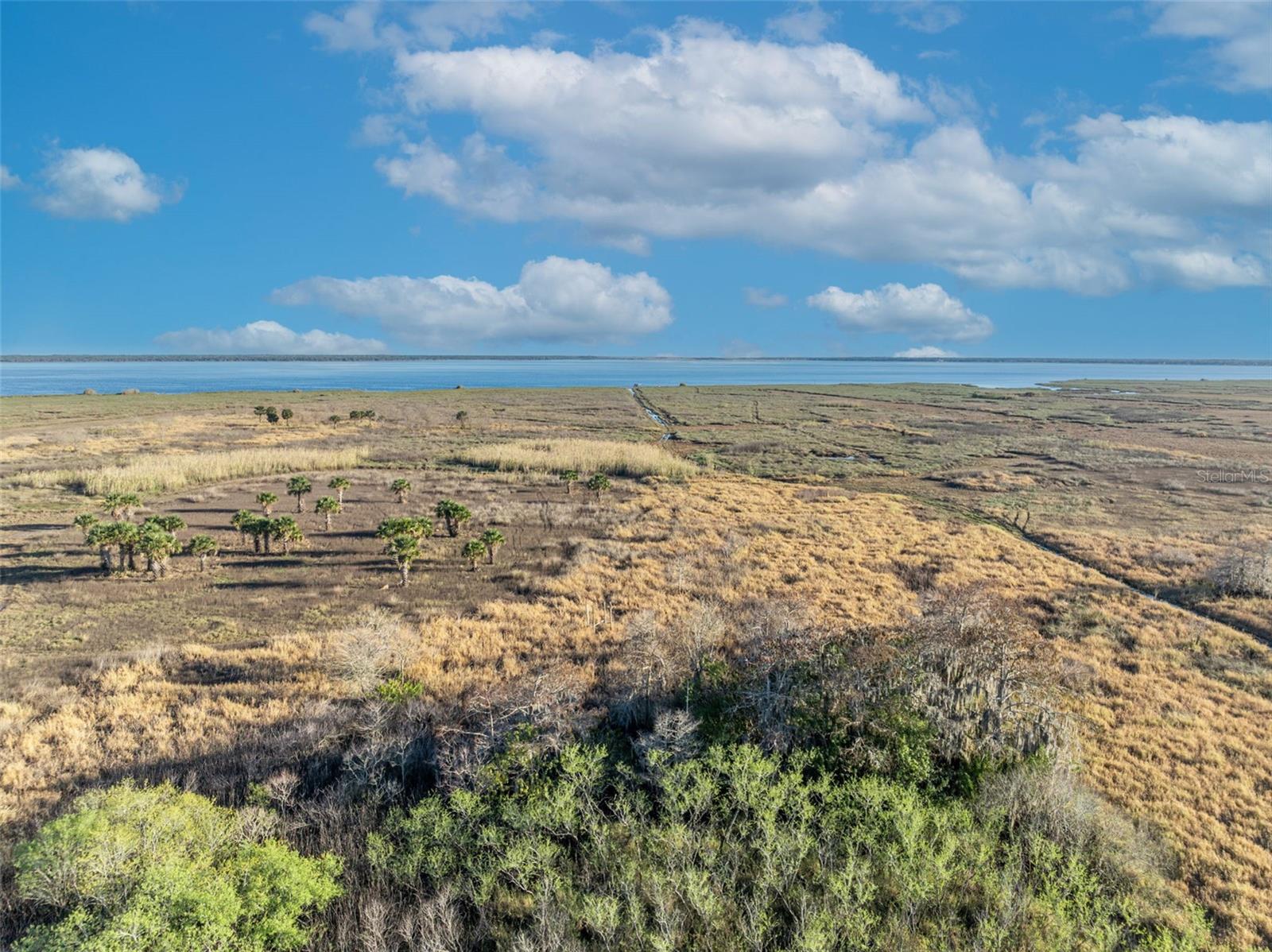 OSCEOLA BLUFF SOUTH 5 ACRE DEV 86 PARCELS - Land