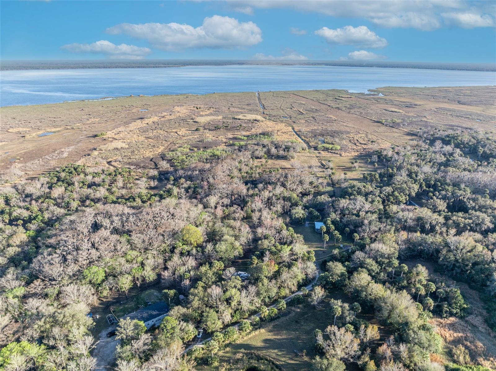 OSCEOLA BLUFF SOUTH 5 ACRE DEV 86 PARCELS - Land