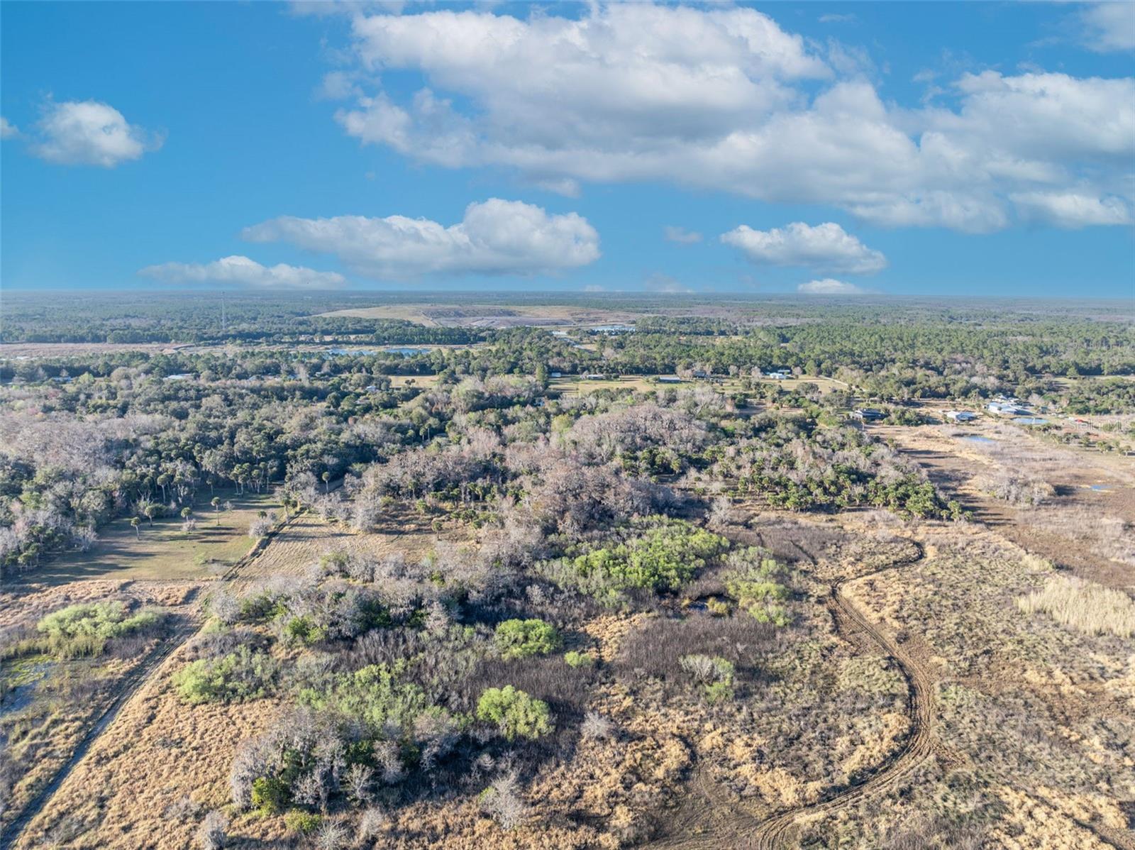 OSCEOLA BLUFF SOUTH 5 ACRE DEV 86 PARCELS - Land