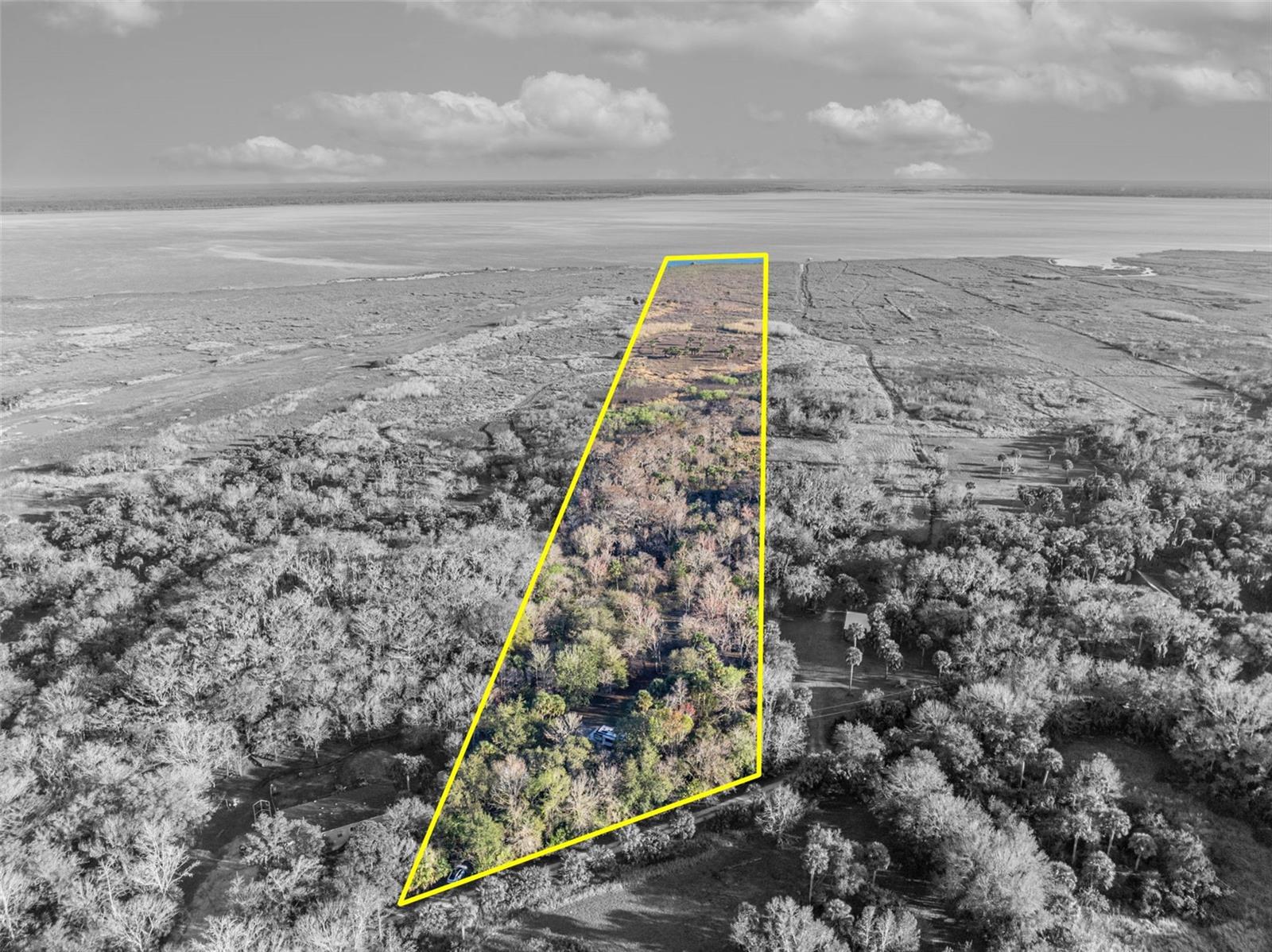 OSCEOLA BLUFF SOUTH 5 ACRE DEV 86 PARCELS - Land