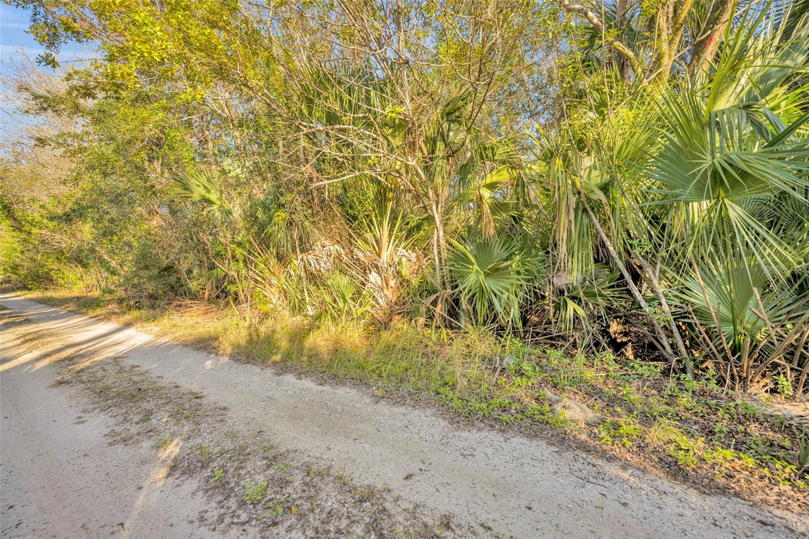 OSCEOLA BLUFF SOUTH 5 ACRE DEV 86 PARCELS - Land