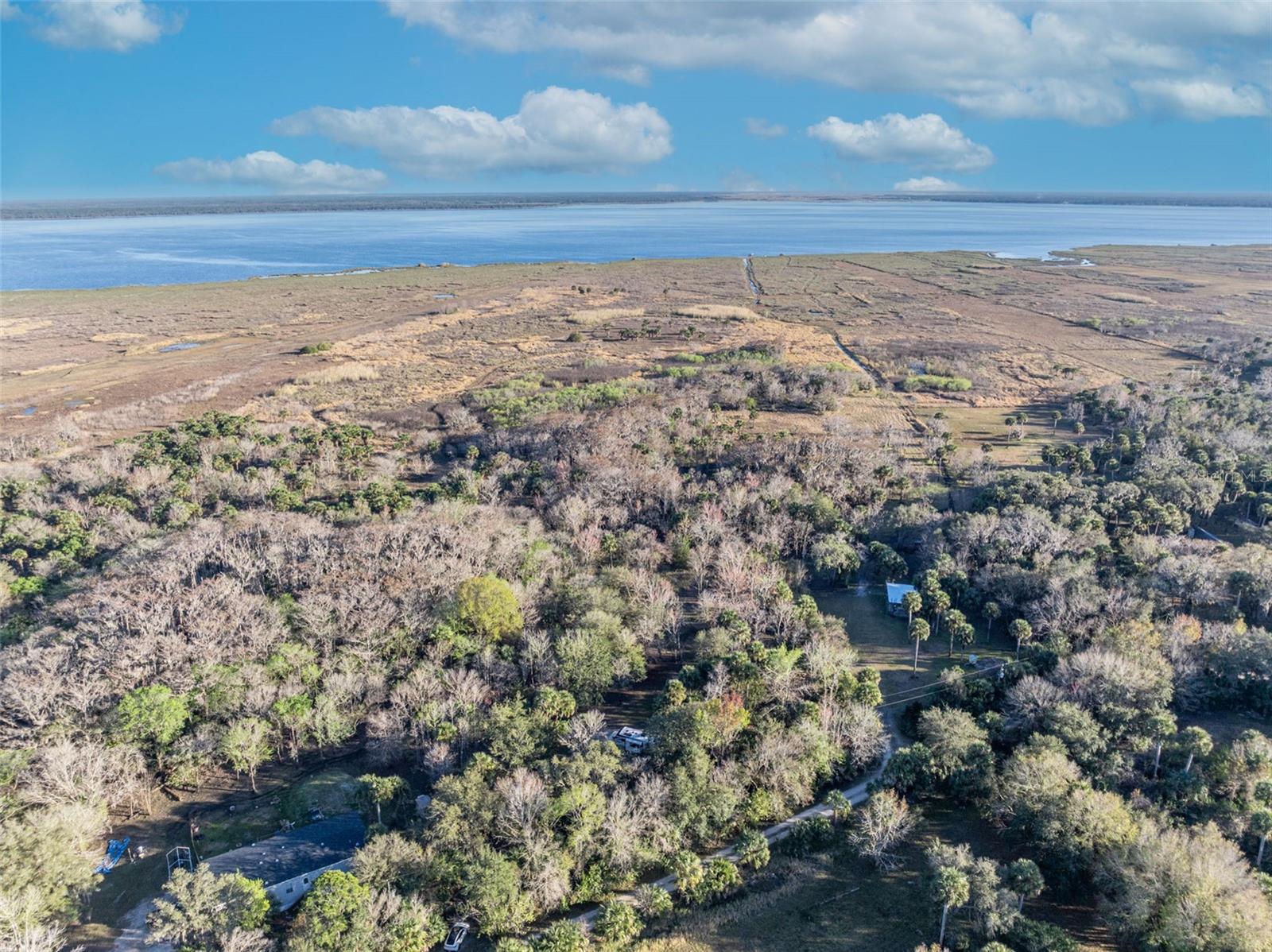 OSCEOLA BLUFF SOUTH 5 ACRE DEV 86 PARCELS - Land