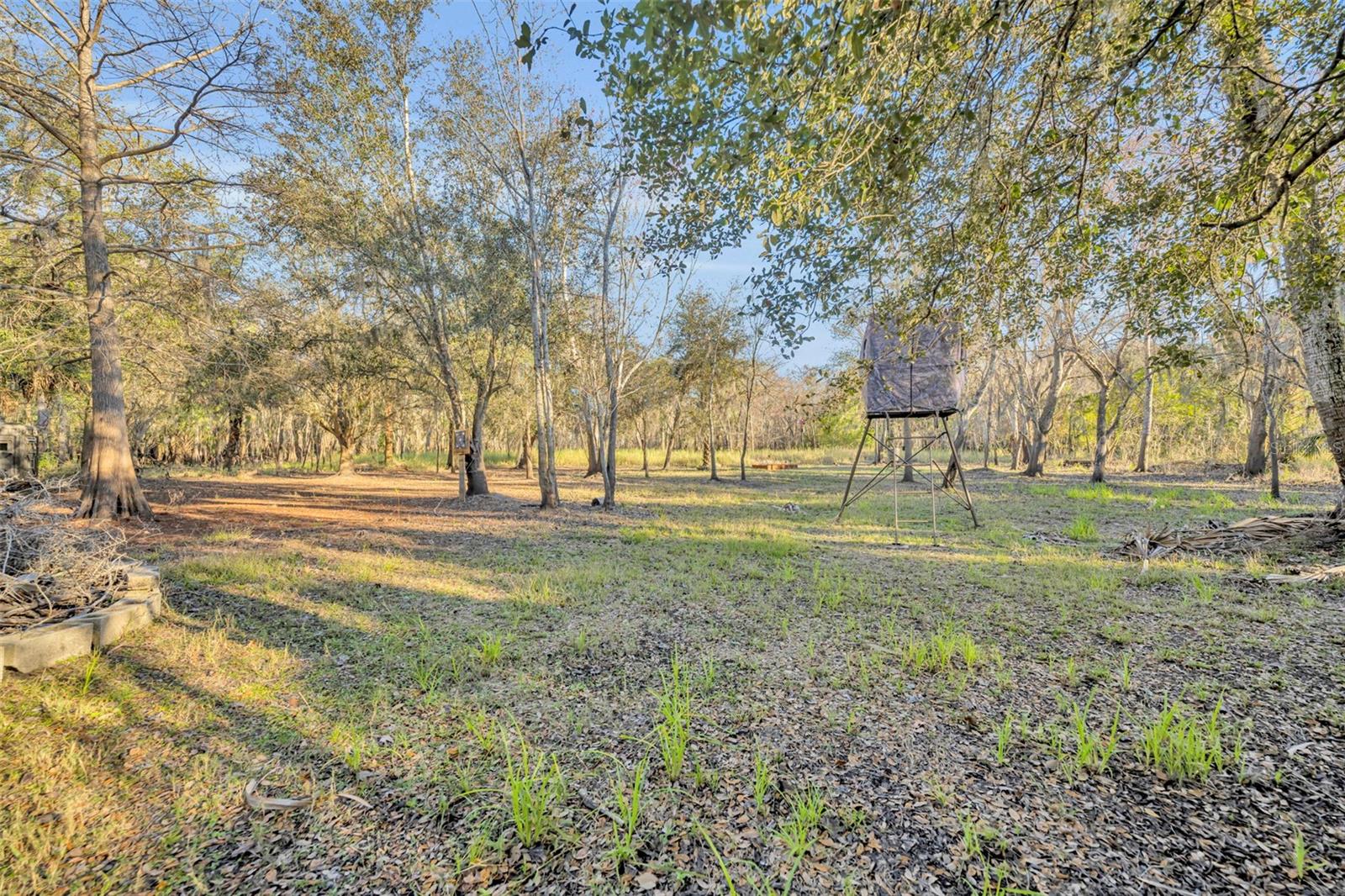 OSCEOLA BLUFF SOUTH 5 ACRE DEV 86 PARCELS - Land