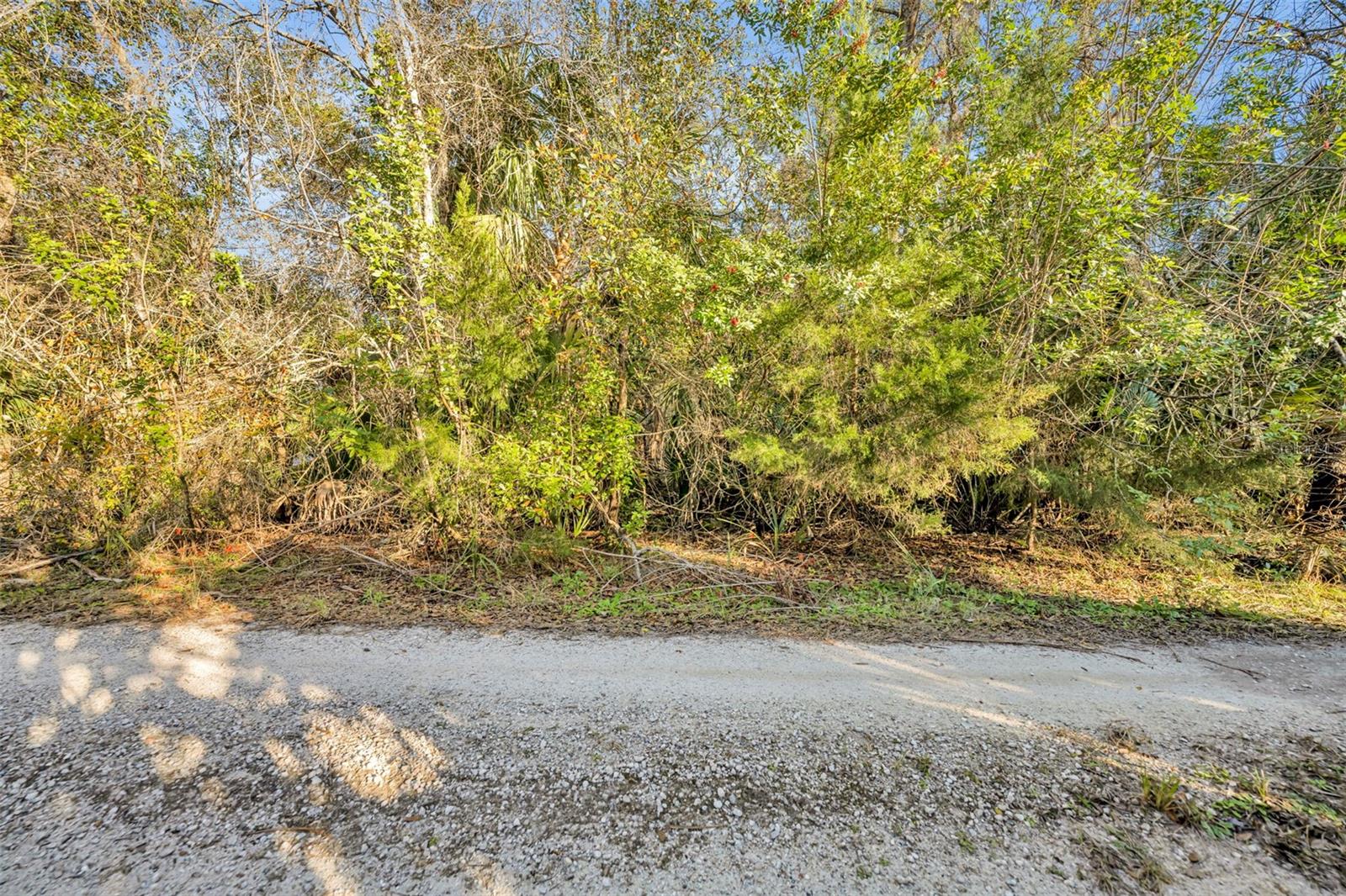 OSCEOLA BLUFF SOUTH 5 ACRE DEV 86 PARCELS - Land