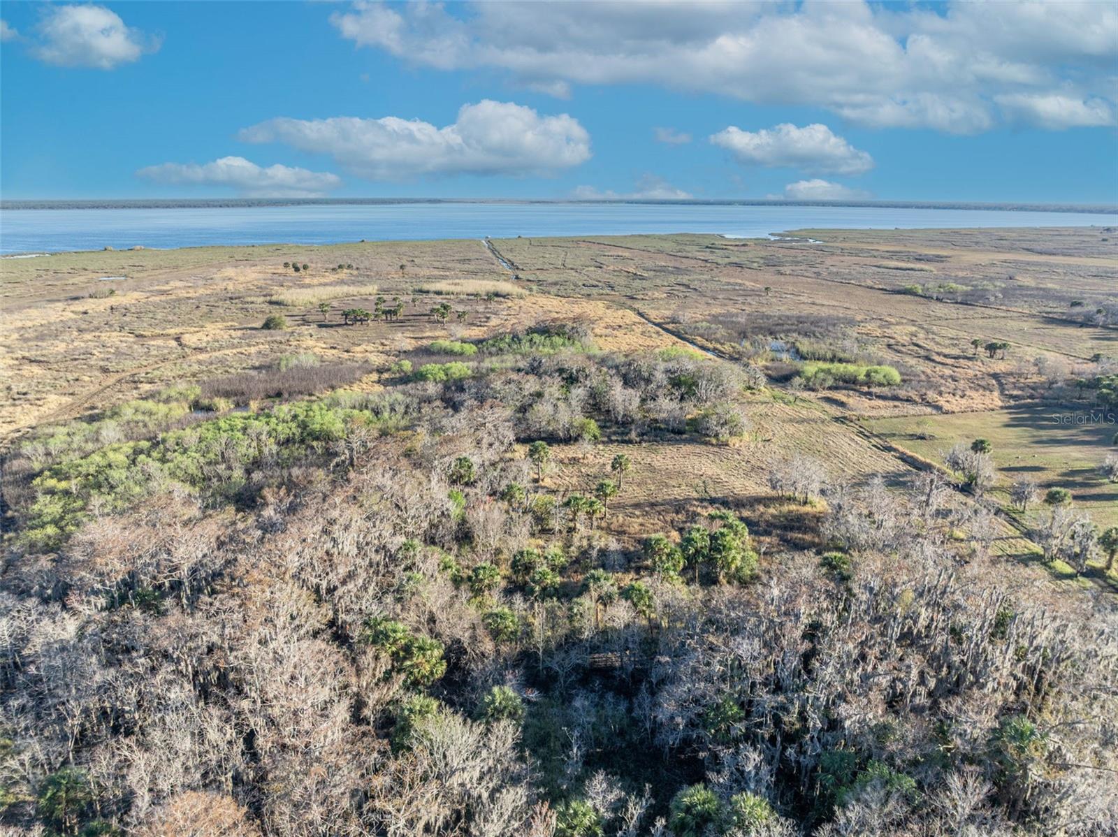 OSCEOLA BLUFF SOUTH 5 ACRE DEV 86 PARCELS - Land