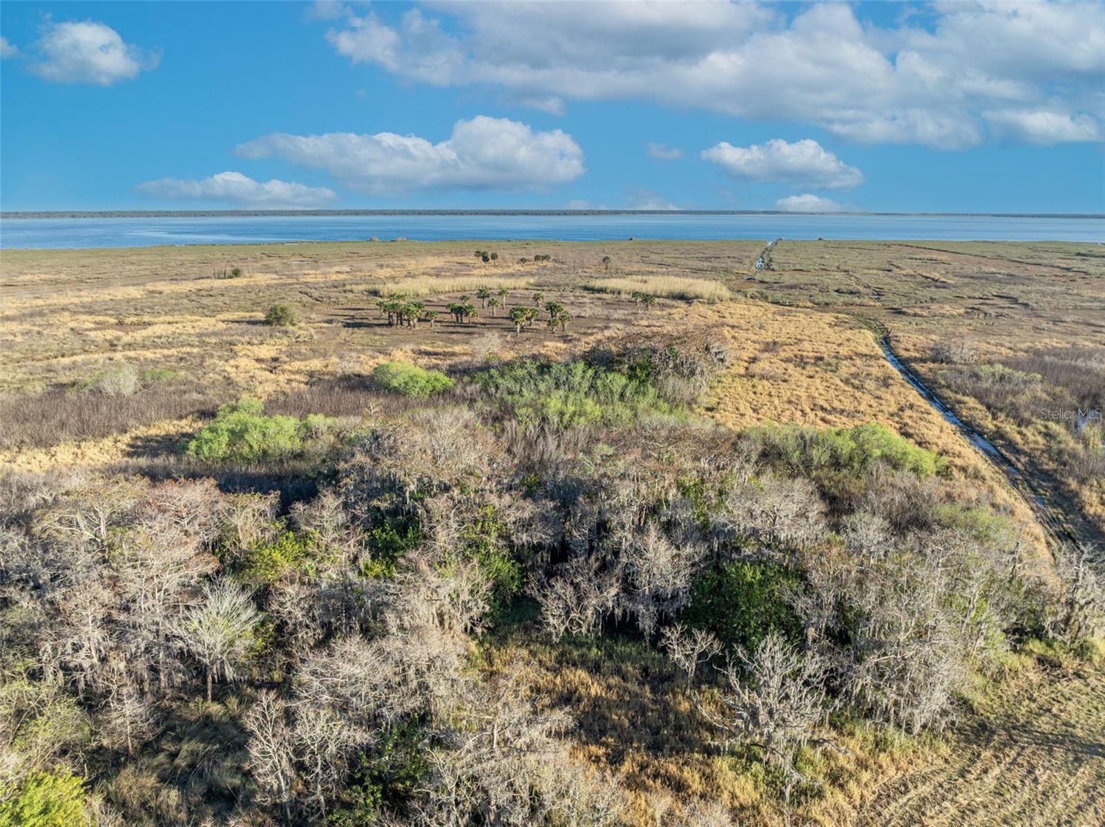 OSCEOLA BLUFF SOUTH 5 ACRE DEV 86 PARCELS - Land