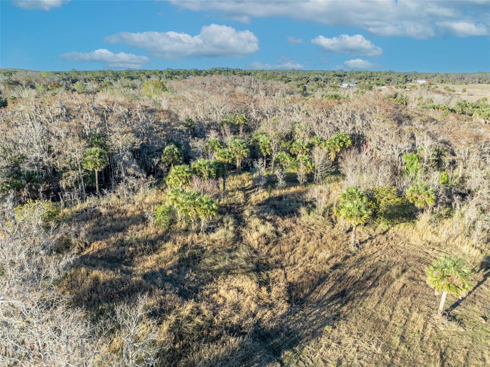 OSCEOLA BLUFF SOUTH 5 ACRE DEV 86 PARCELS - Land