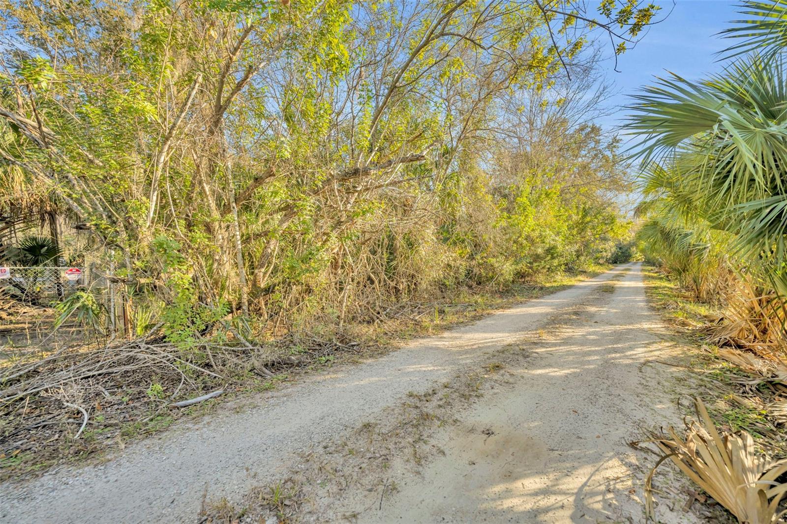OSCEOLA BLUFF SOUTH 5 ACRE DEV 86 PARCELS - Land