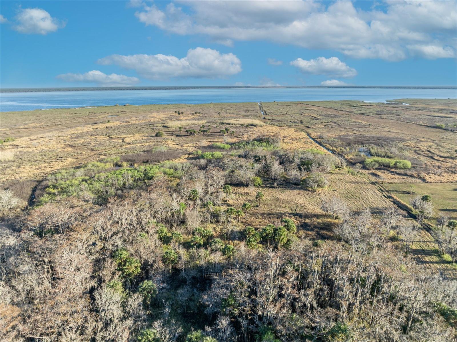 OSCEOLA BLUFF SOUTH 5 ACRE DEV 86 PARCELS - Land